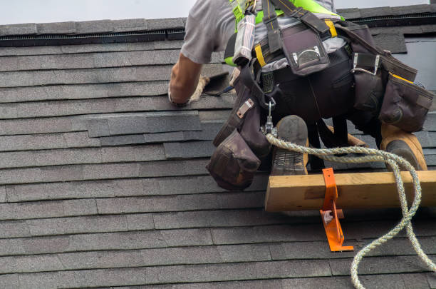 Best Roof Ventilation Installation  in Logan, IA