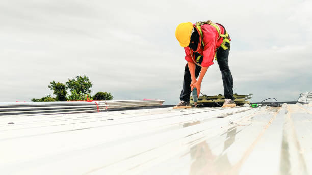 Best Gutter Installation and Repair  in Logan, IA